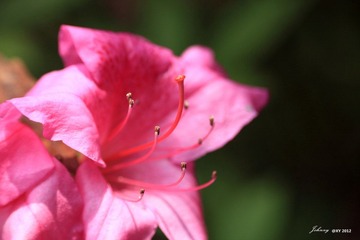 IMG_8065_副本.jpg