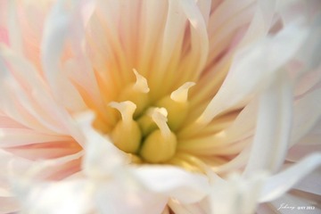 IMG_8088_副本.jpg