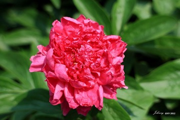 IMG_8093_副本.jpg