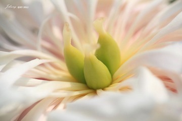 IMG_8094_副本.jpg