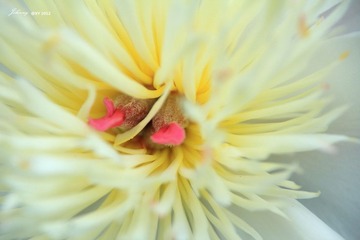 IMG_8263_副本.jpg