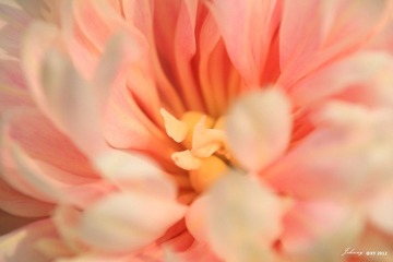 IMG_8268_副本.jpg