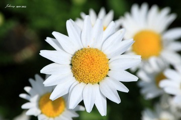IMG_8292_副本.jpg