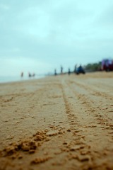 DSC_2888.jpg
