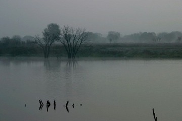 IMG_9309aa_1.jpg