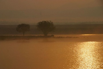 IMG_9314aa_1.jpg