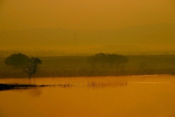 IMG_9323aa_1.jpg