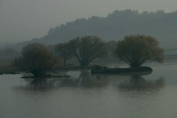 IMG_9330aa.jpg