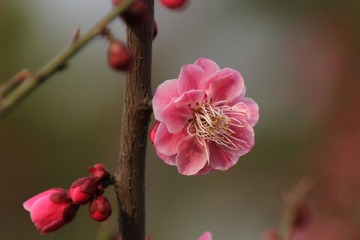 IMG_0144.JPG