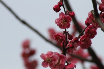 IMG_0122.JPG
