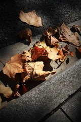 IMG_6887 (2)