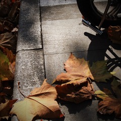 IMG_6915 (2)
