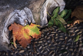 IMG_7031 (2)