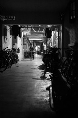IMG_5354-1