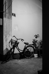 IMG_5358-1