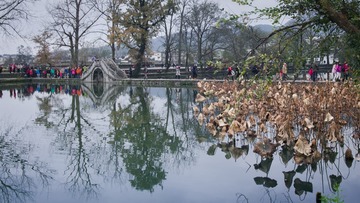 20151128-IMG_5761