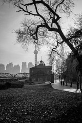 20160101-IMG_6700