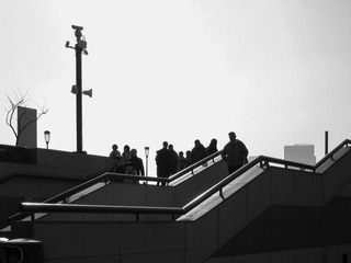 IMG_0382-1