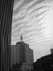 IMG_0406-1