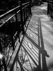 IMG_0423-1
