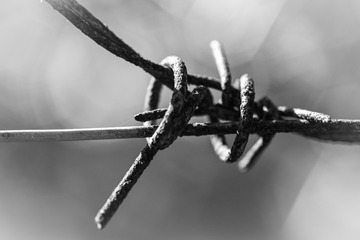 20161101-IMG_8124
