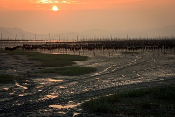 xp-IMG_3870-13.jpg