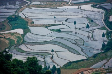 xp-IMG_3899-17.jpg