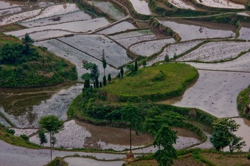 xp-IMG_3912-19.jpg