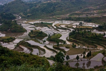xp-IMG_3913-20.jpg