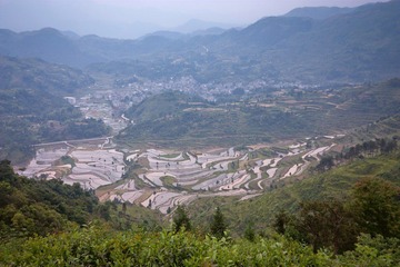 IMG_3892a.jpg