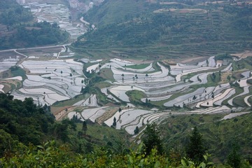 IMG_3894.jpg