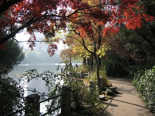 IMG_0009_HZP.jpg