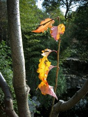 20121205-IMG_0017.jpg