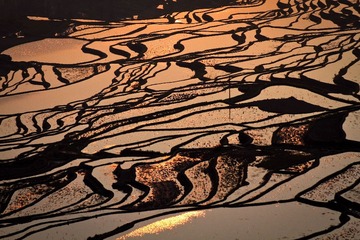 20130302-IMG_2517a.jpg