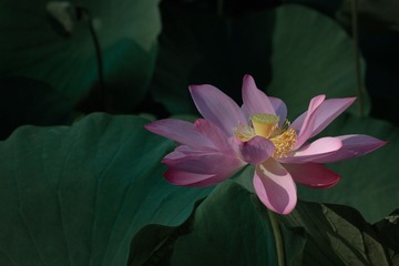 20130709-_MG_3527.jpg