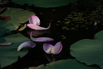 20130709-_MG_3561.jpg