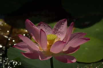 20130709-_MG_3590.jpg