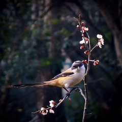 20140220-IMG_4571pp