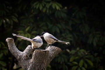 20140220-IMG_4629pp