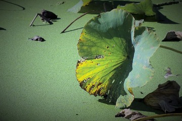 IMG_2080 (2)