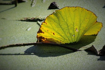 IMG_2107 (2)