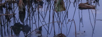 IMG_2281alr-1