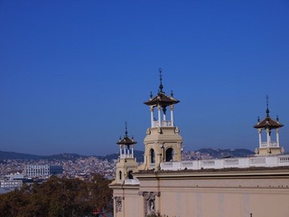 _B262379.jpg
