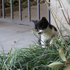 IMG_0714.JPG