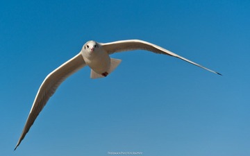 20111231-_FYP2557s.jpg