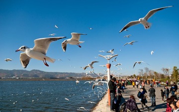 20111231-_FYP2607s.jpg