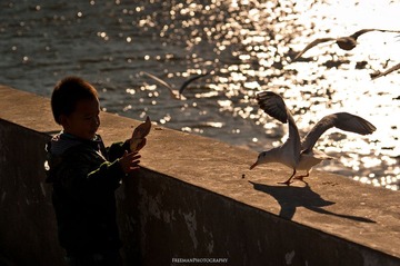 20111231-_FYP2698s.jpg