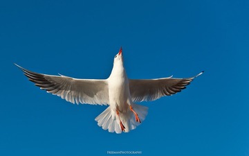 20111231-_FYP2797s.jpg