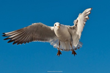 20111231-_FYP2810s.jpg