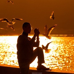 20111231-_FYP2879s.jpg